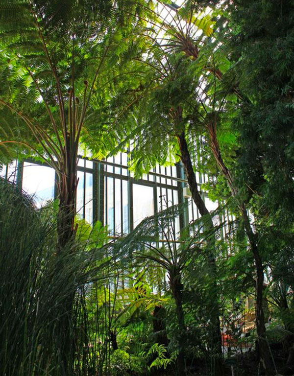 Les grandes serres du jardin des Plantes à Paris