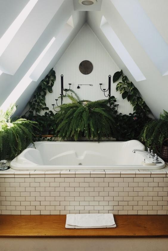 Ouverture de toit sur une baignoire végétalisée