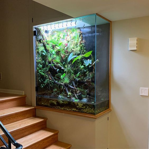 vivarium en verre pour rythmer une cage d'escalier