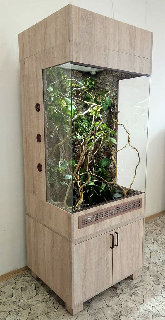 vivarium high-tech en verre et en bois